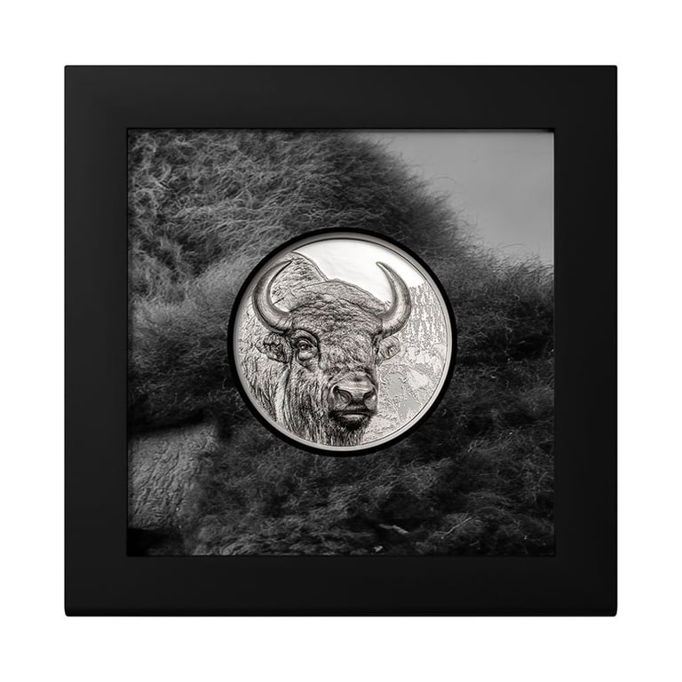 Silver Bison 3 oz PF - High Relief 2025 in the original coin case