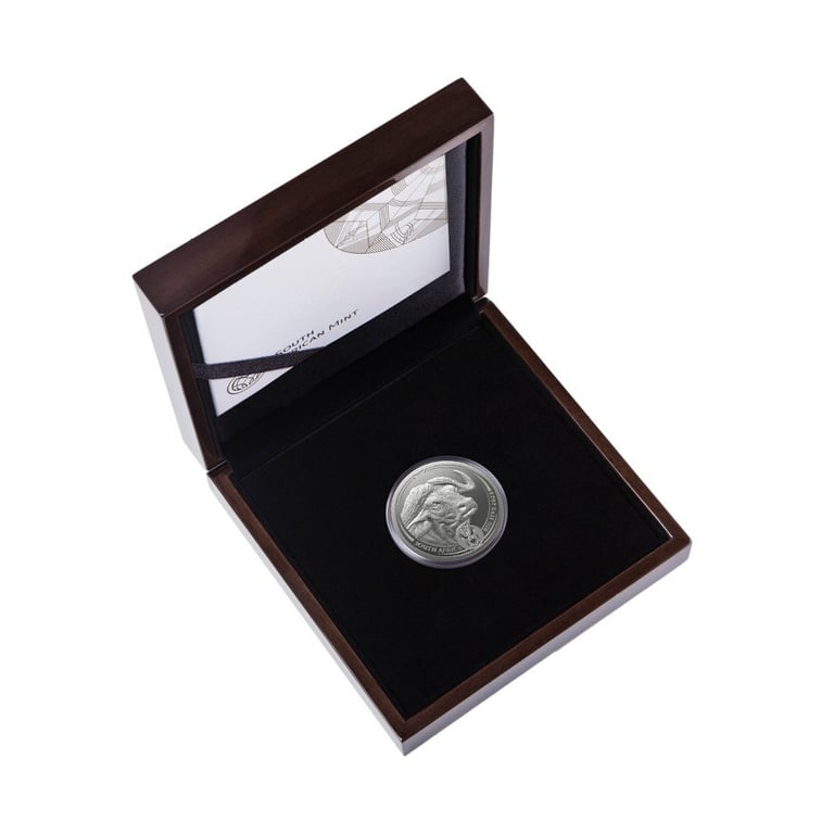Silver Buffalo 5 oz - Big Five Series II - 2023 in the original coin case