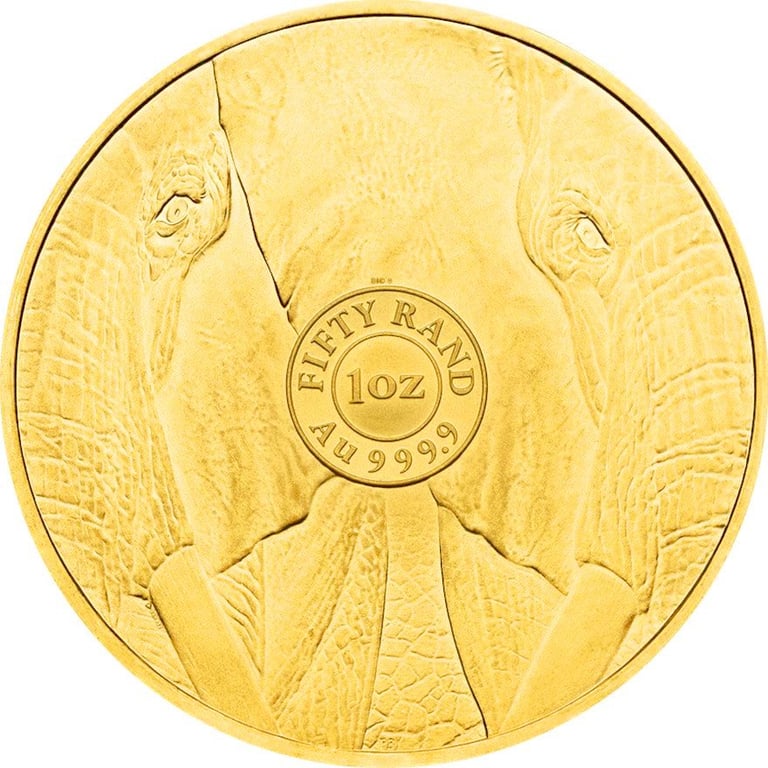 Back of the Gold Elephant 1 oz - Big Five 2024