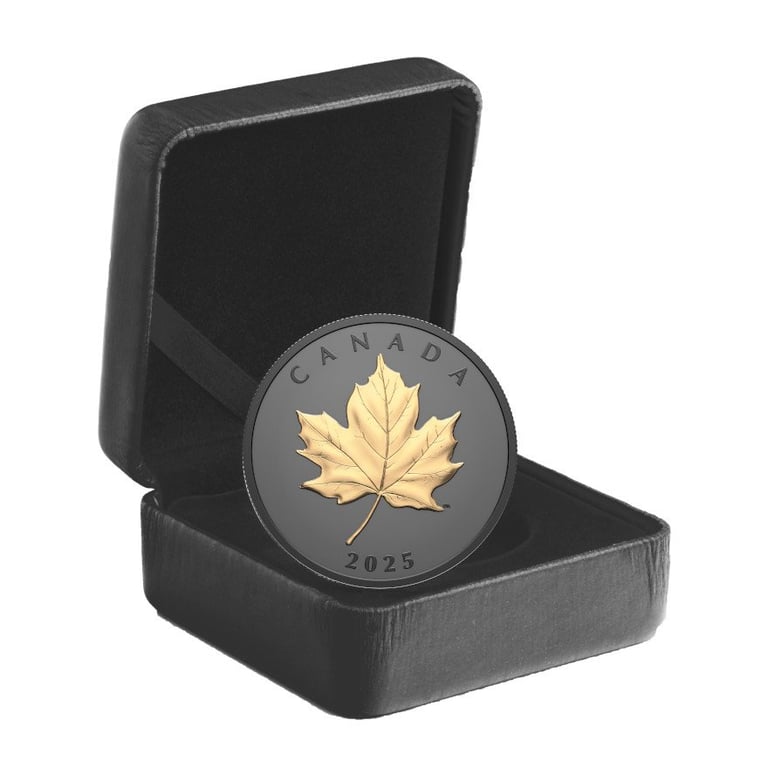 Silver Elegant Maple Leaf 1 oz - Matte Proof gilded 2025 in the original coin case