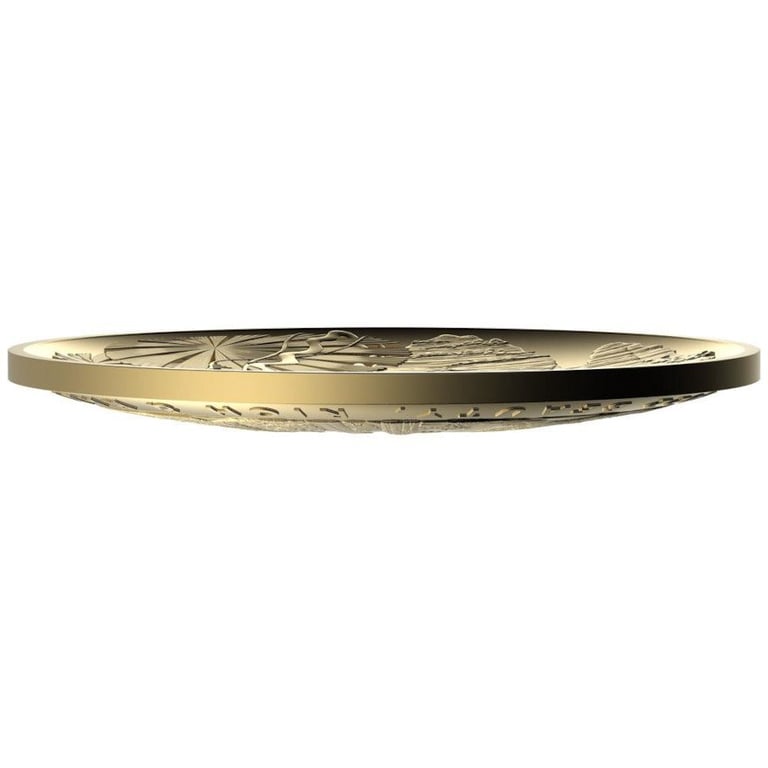 Side view of the Gold Daintree Rainforest 1 oz PF - domed mintage 2022