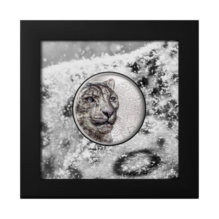 Silver Snow Leopard 3 oz PF - High Relief 2024 in the original coin case