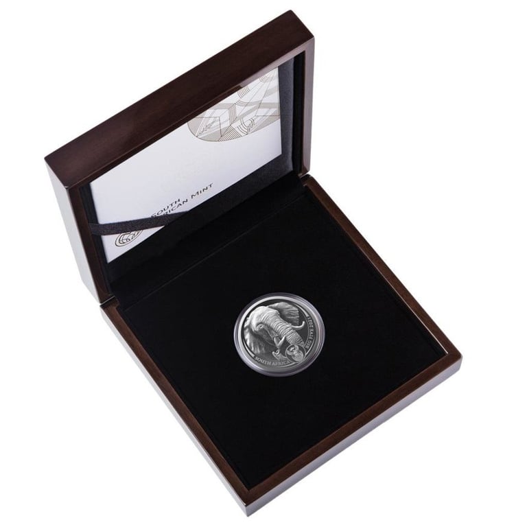 Silver Elephant 5 oz - Big Five Series II - 2021 in the original coin case