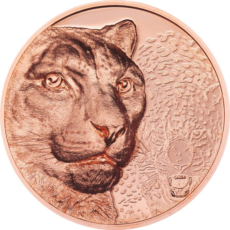 Front of the Copper Snow Leopard 50g PP - High Relief 2024