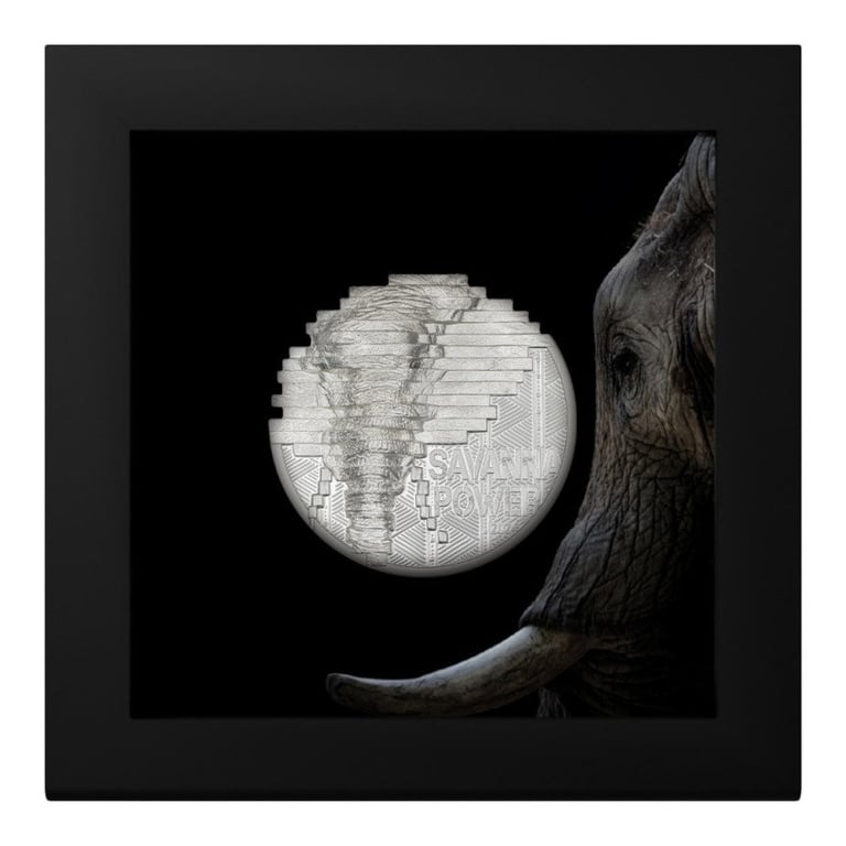 Silver Reconstruction Elephant 2 oz - Ultra High Relief - 2024 in the original coin case