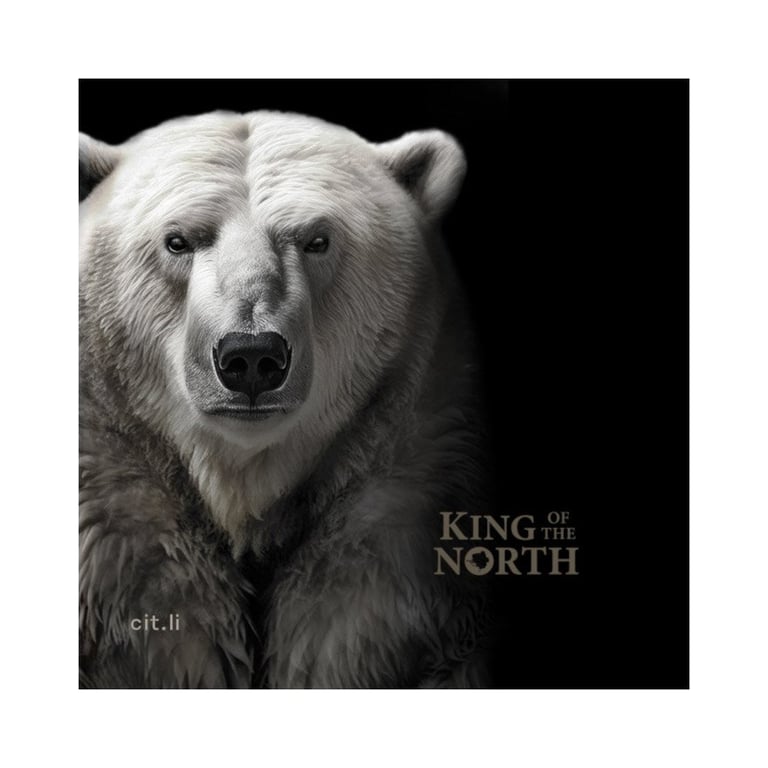 Original coin case of the Gold King of the North - Polar Bear 1/4 oz PF - Ultra High Relief
