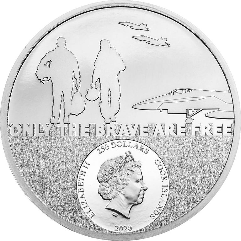 Back of the Platinum Real Heroes - Fighter Pilot 1 oz