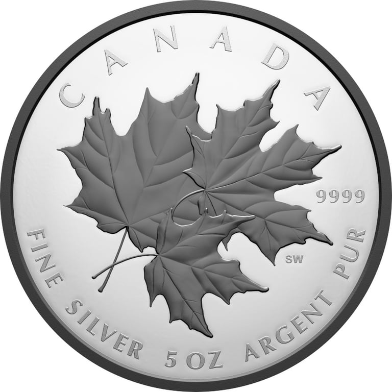 Front of Silver Triple Maple Leaf 5 oz PF - 2026