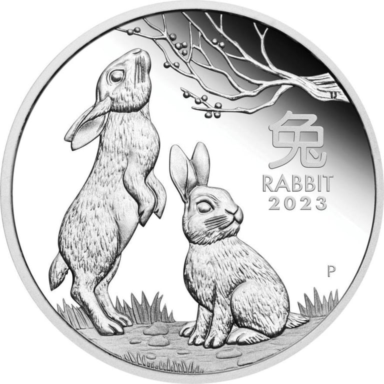 Front of the Silver Lunar III Rabbit - Perth Mint 2023