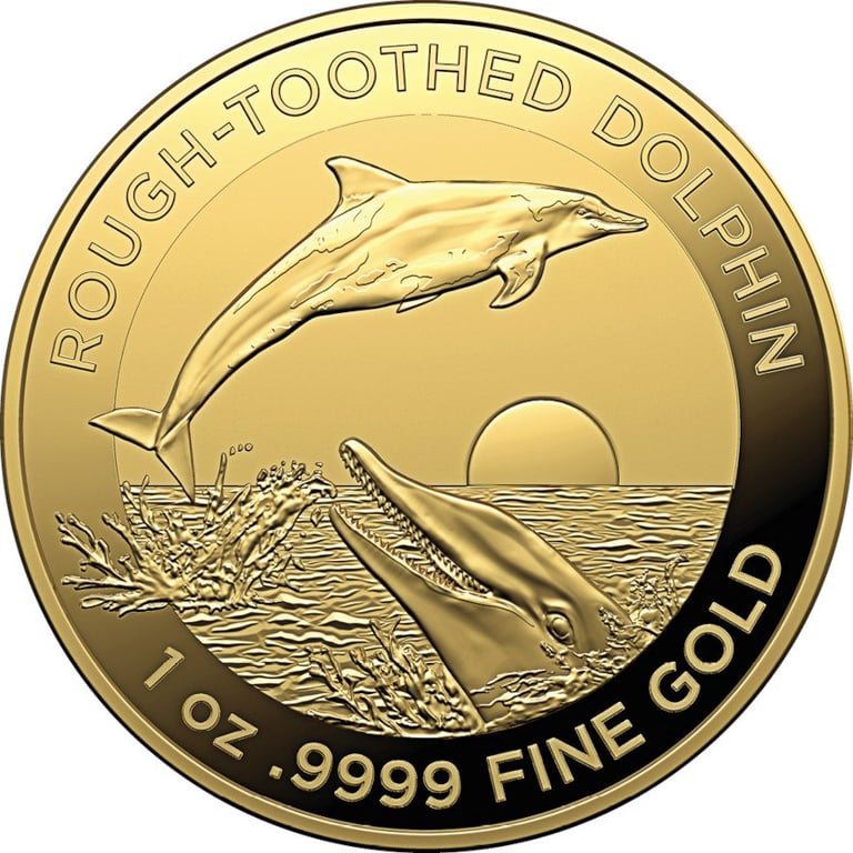 Front of the Gold Rough-Toothed Dolphin 1 oz - RAM 2023