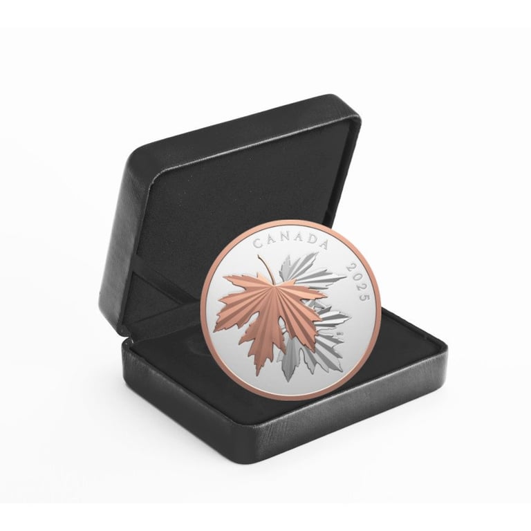 Silver Gleaming Maple Leaf 10 oz PF - 2025 in the original coin case