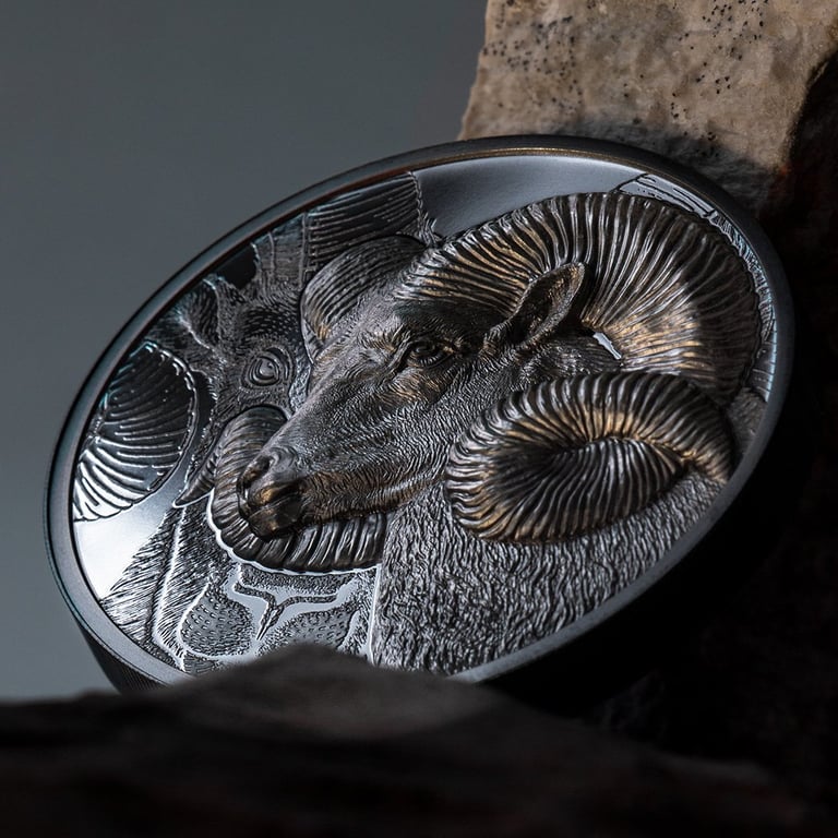 Silver Magnificent Argali 2 oz Black Proof - High Relief 2022
