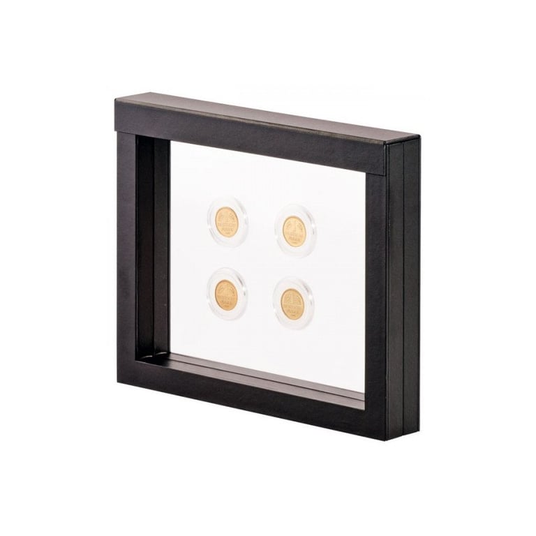 Front of the Floating frame for coins and bars Jumbo