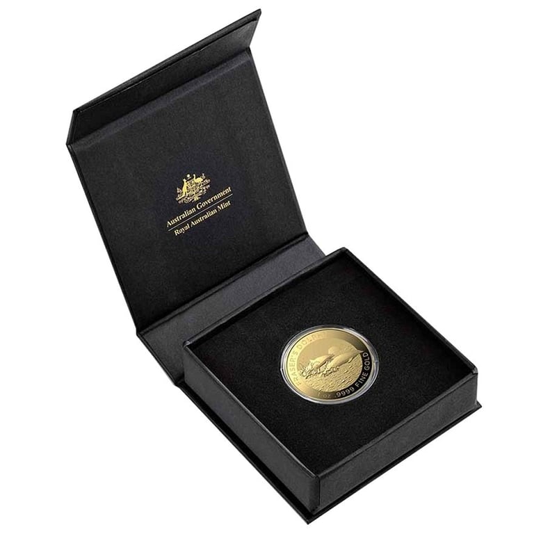 Gold Fraser's Dolphin 1 oz - RAM 2021 in the original coin case