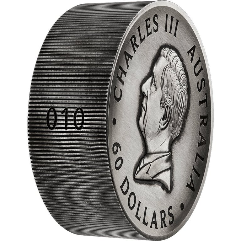 Side view of the Silver Honey Bee 2000 g Antique Finish - High Relief 2024