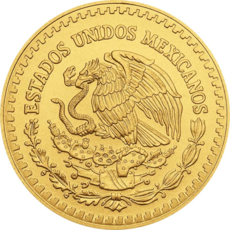 Back of the Gold Mexico Libertad 1/2 oz - various vintages