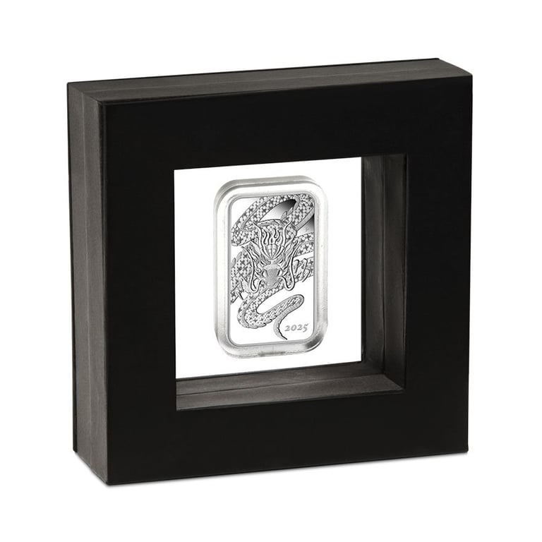 Silver Dragon Rectangle 1 oz Proof - 2025 in the original coin case