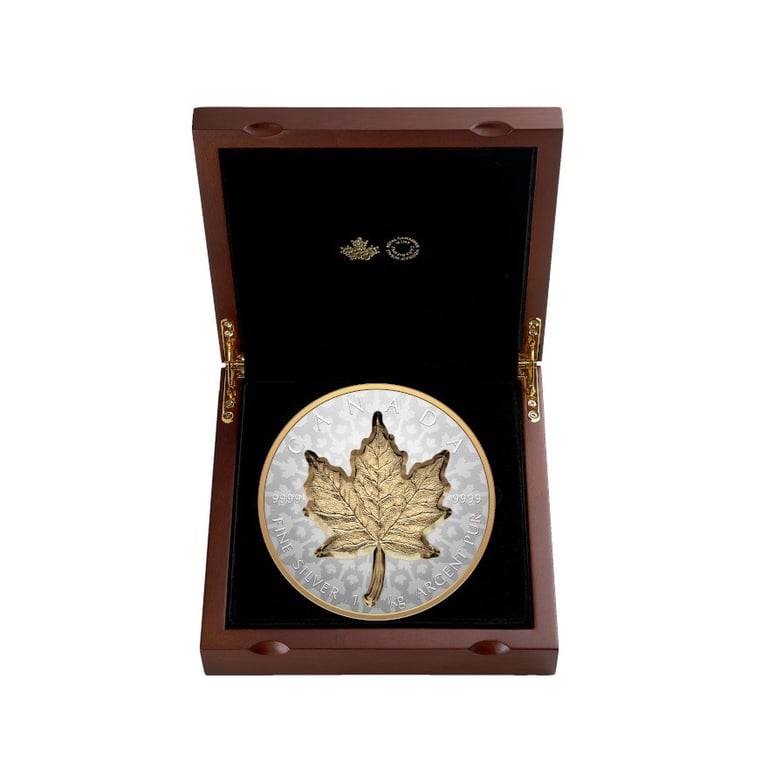 Silver Maple Leaf 1000 g RP - Super Incuse 2024 in the original coin case