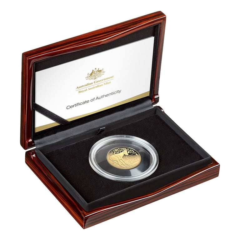 coin case of Gold Lunar Goat 1 oz PF domed coin - RAM 2027