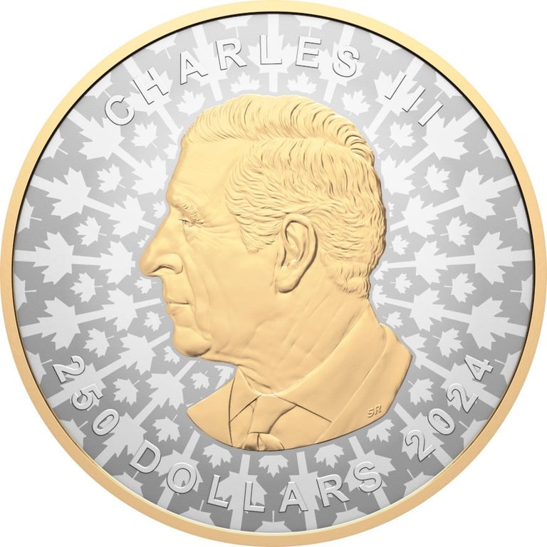 Back of the Silver Maple Leaf 1000 g RP - Super Incuse 2024