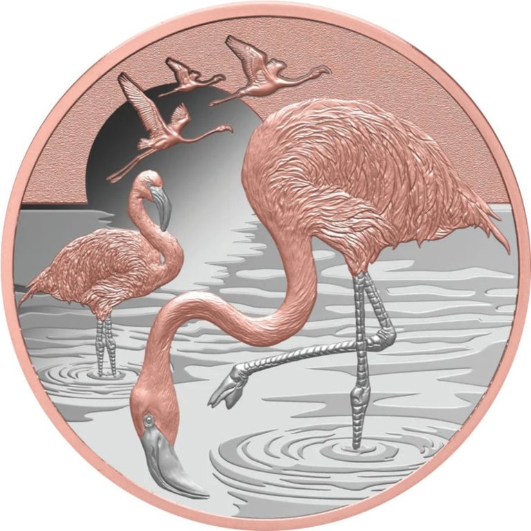 Numismatik-Silber-Pi-VcIj5QH6.jpg