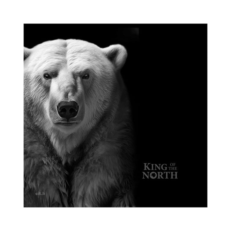 Original coin case of the Silver King of the North - Polar Bear 1 oz PF - Ultra High Relief