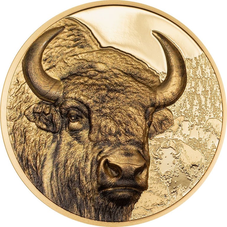 Front of the Gold Bison 1 oz PF - High Relief 2025