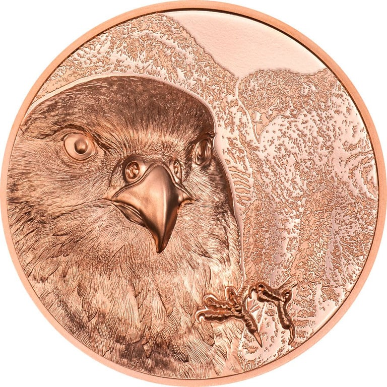 Front of the Copper Mongolian Falcon 50g PF - High Relief 2023