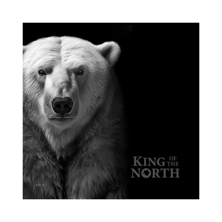 Original coin case of the Silver King of the North - Polar Bear 1000 g PF - Ultra High Relief