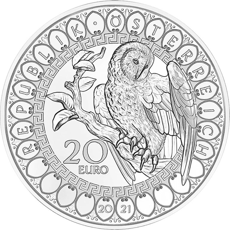 Back of the Silver Eyes of the Continents - Owl PF - 2021