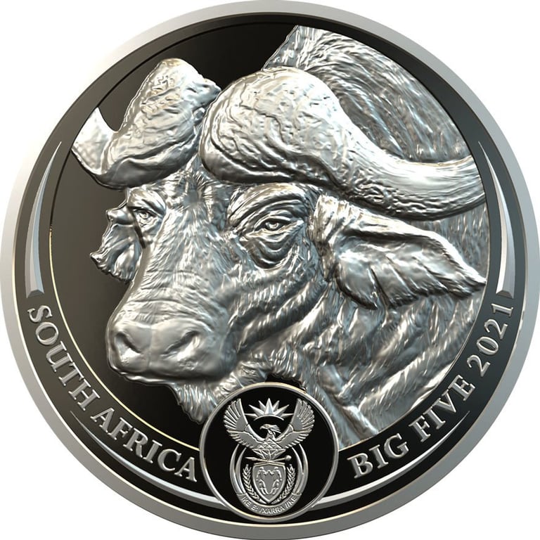 Front of the Platinum Buffalo 1 oz PF - Big Five South Africa