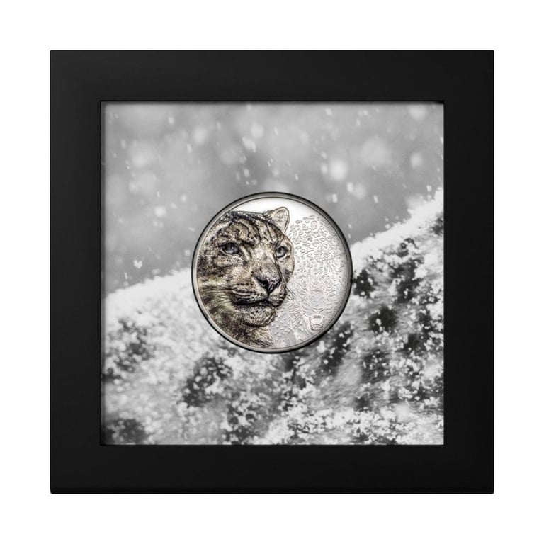 Silver Snow Leopard 1 oz PF - High Relief 2024 in the original coin case