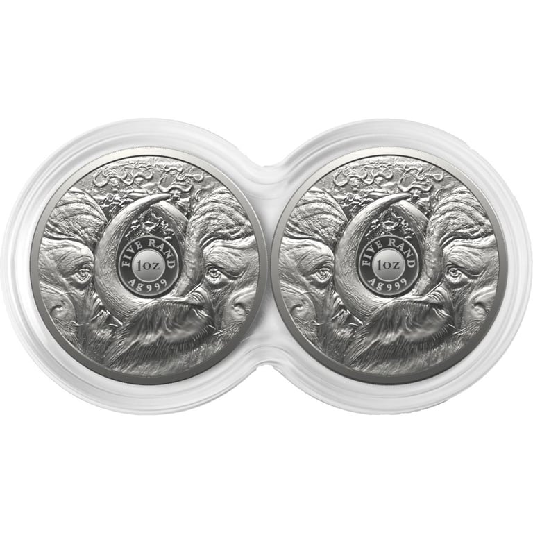 Back of the Silver Buffalo Big Five Series II - 2 x 1 oz PF Set Double Capsule