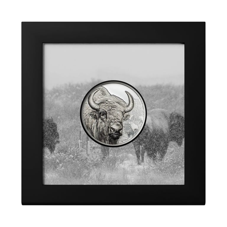 Silber Bison 1 oz PF - High Relief 2025 in the original coin case