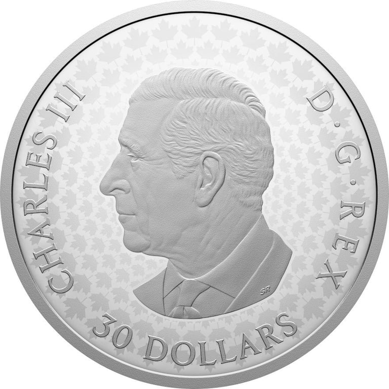Back of Silver Precious Maple Leaf 2 oz PF - gilded with diamond 2026