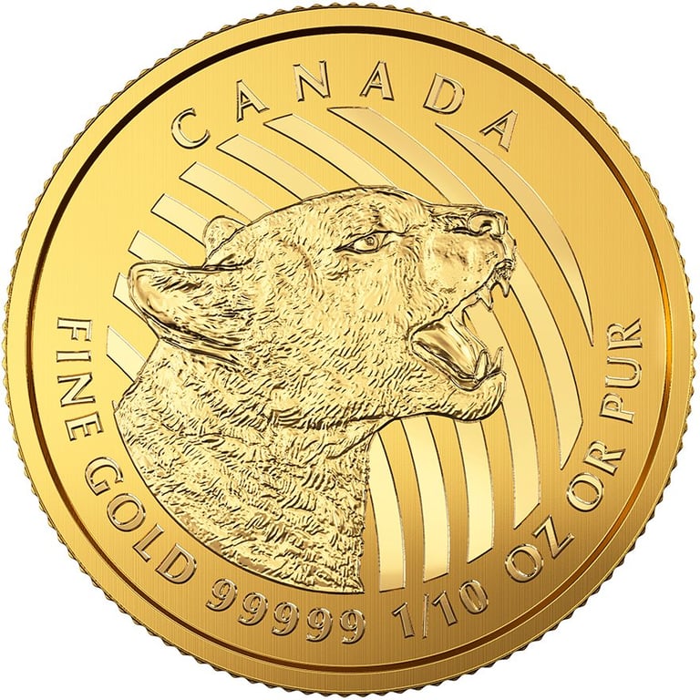 Front of the Gold Puma 1/10 - Call of the Wild Serie 2016