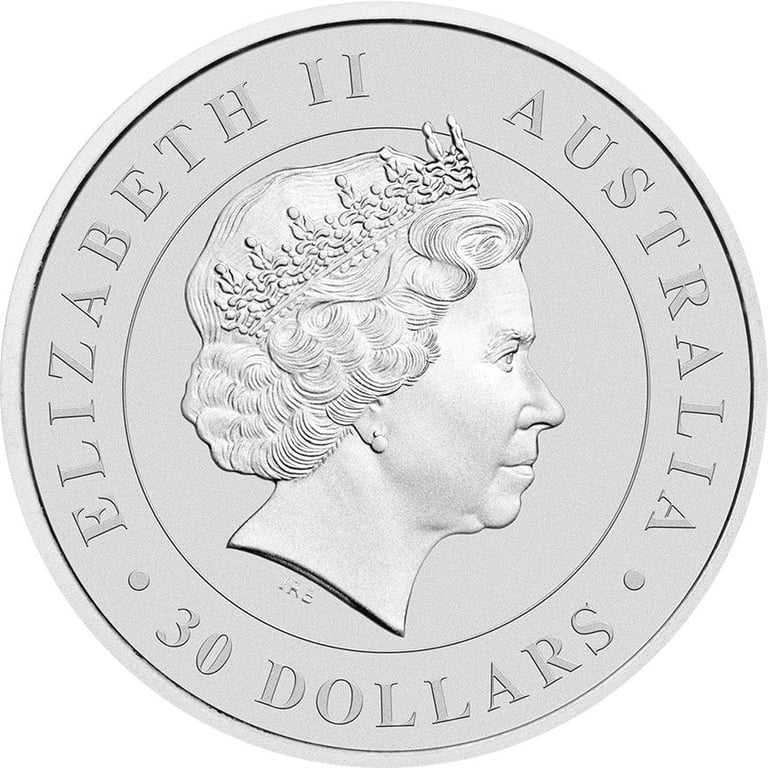 Back of the Silver Koala 1kg