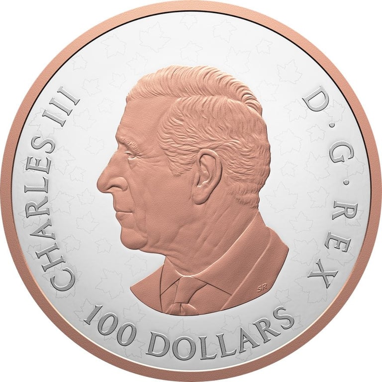 Back of the Silver Gleaming Maple Leaf 10 oz PF - 2025
