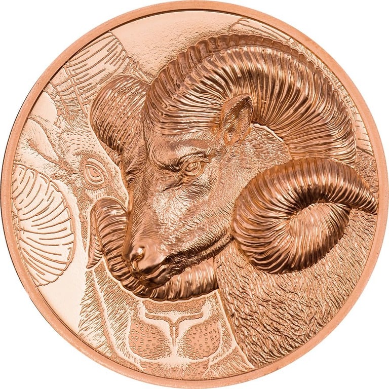 Front of the Copper Magnificent Argali 50g P - High Relief 2022