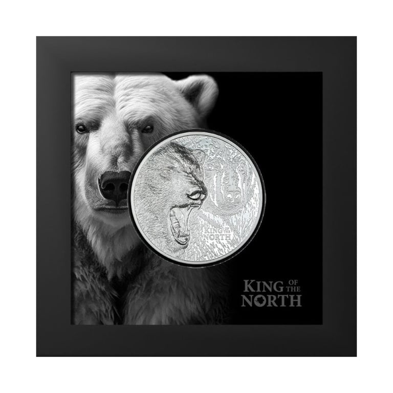 Silver King of the North - Polar Bear 3 oz PF - Ultra High Relief in the original coin case