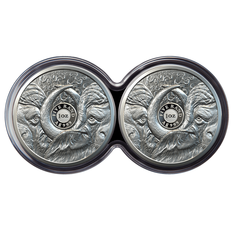 Back of the Silver Buffalo Big Five Series I - 2 x 1 oz PP set double capsule