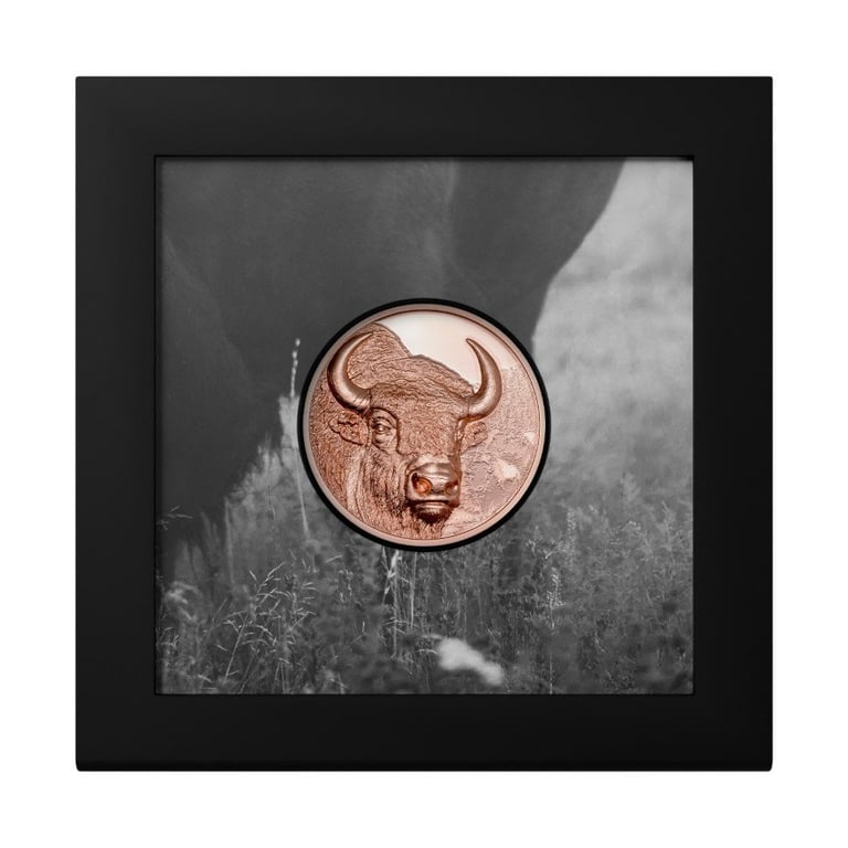 Original coin case of the Copper Bison 50 g PP - High Relief 2025