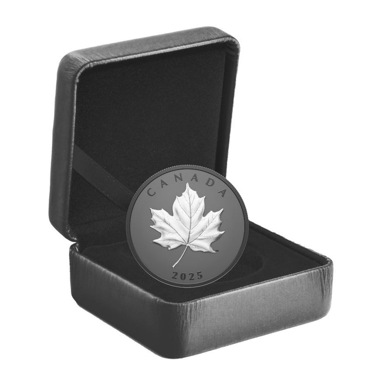 Silver Elegant Maple Leaf 1 oz - Matte Proof 2025 in the original coin case
