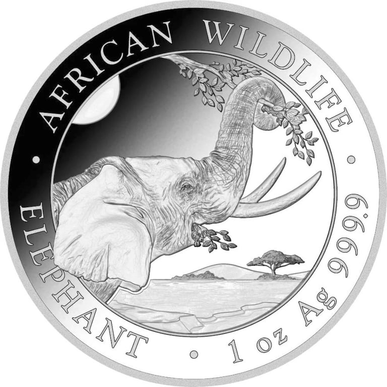Front of Silver Somalia Elephant 1 oz - various years