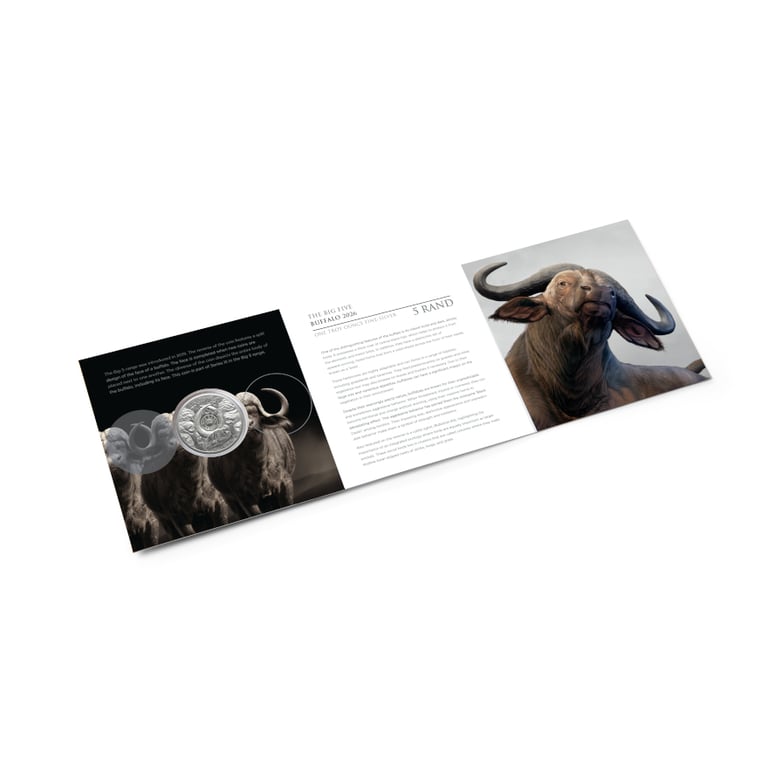 Blister of Silver Buffalo 1 oz - Big Five Serie III - 2026