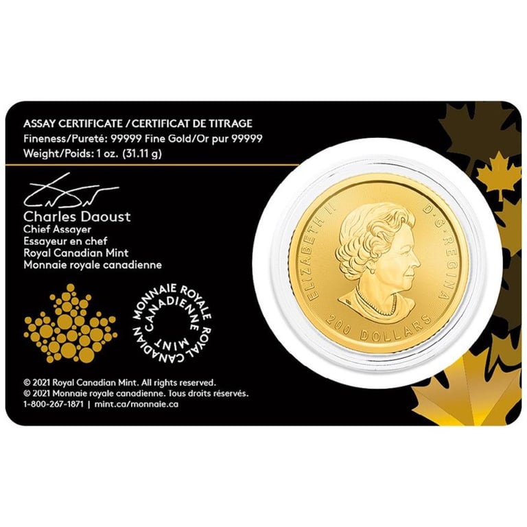 Original coin case of the Gold Klondike Gold Rush 1 oz - Panning for Gold 2021