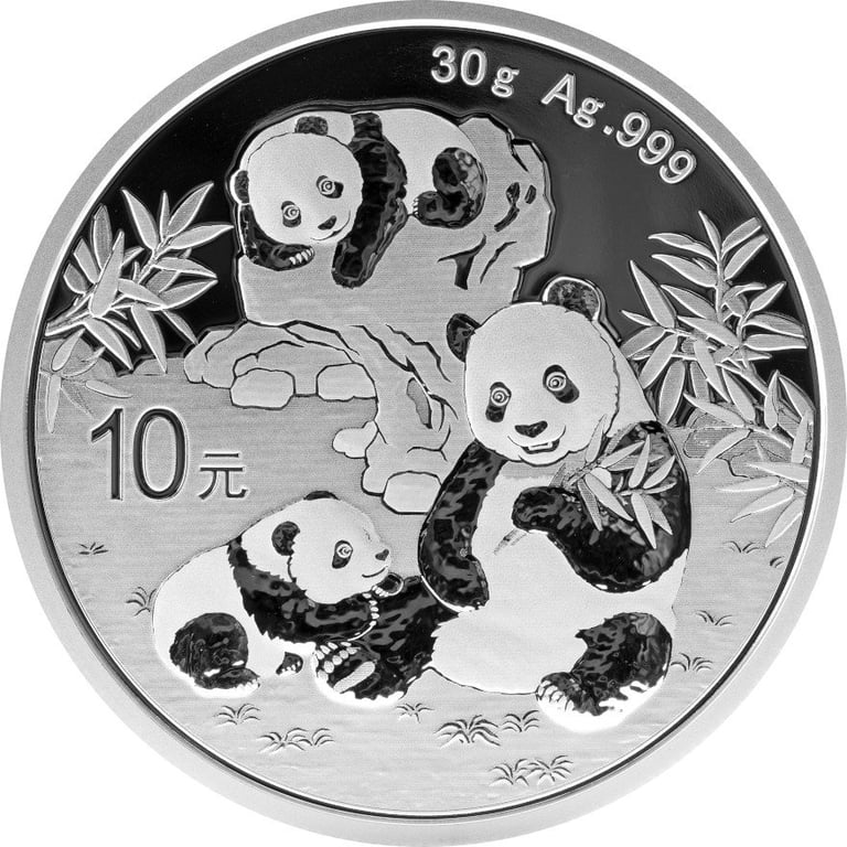 Front of the Silver China Panda 30 g - 2025