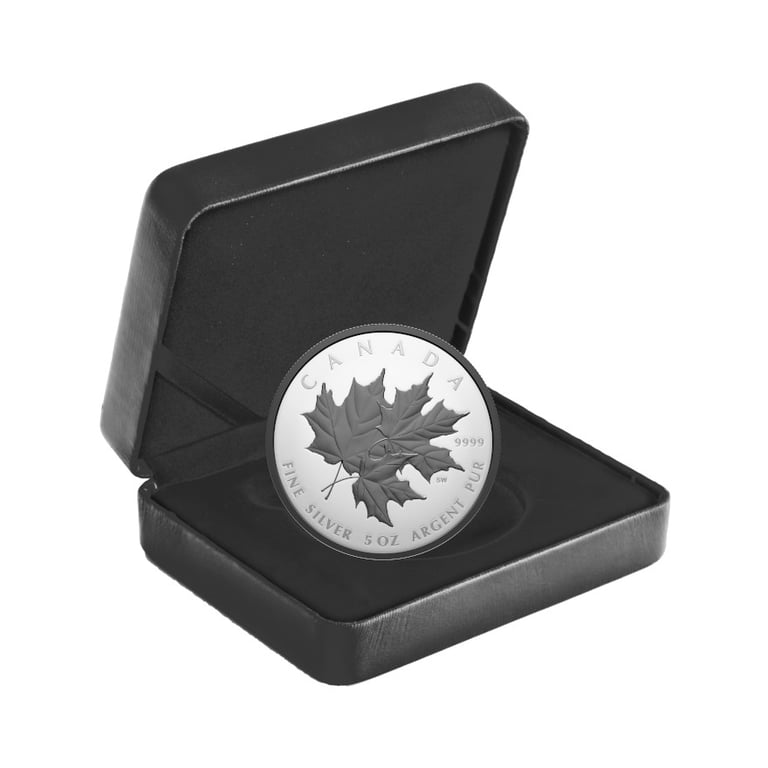 Coin case of Silver Triple Maple Leaf 5 oz PF - 2026