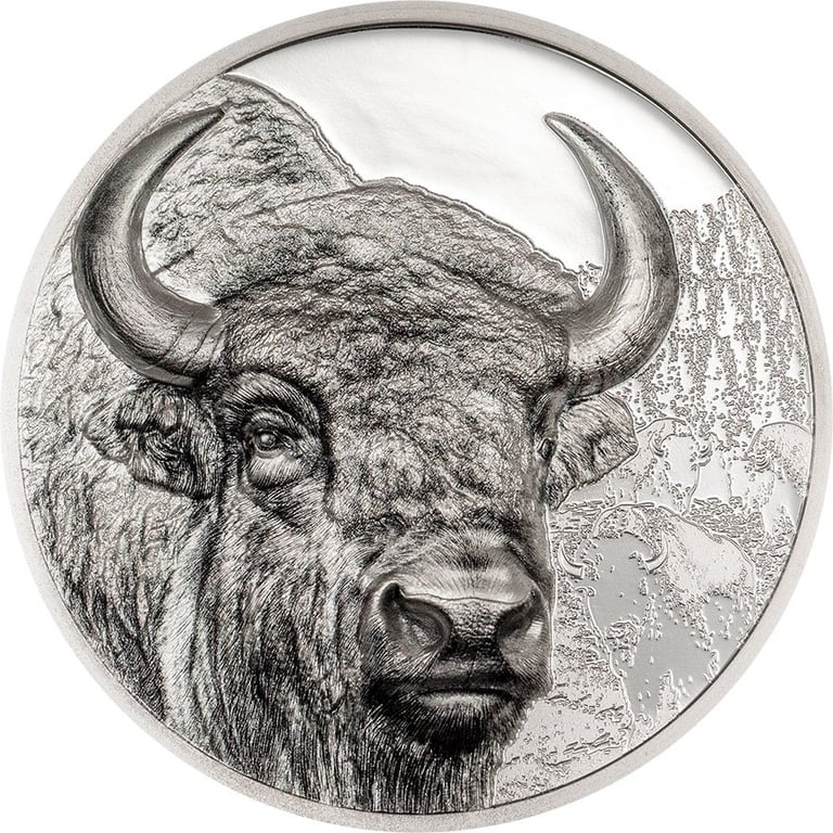 Front of the Silver Bison 3 oz PF - High Relief 2025