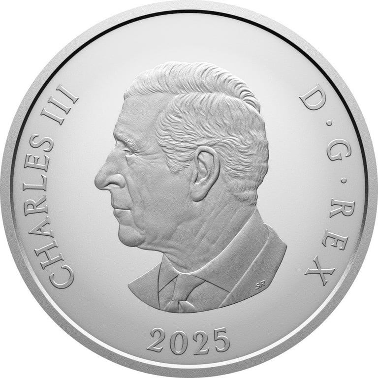 Back of the Silver 'Williamson Diamond Brooch' 1 oz - Matte Proof 2025